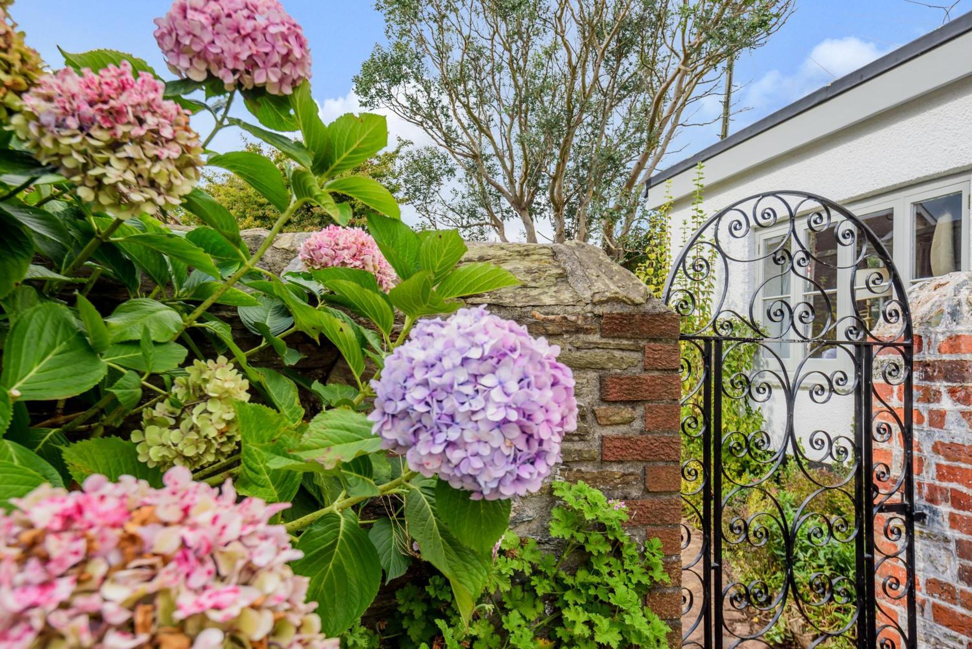 فيلا The Secret Garden Malborough المظهر الخارجي الصورة